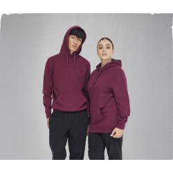 ID.223 HOODIE
